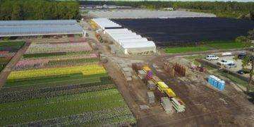American Farms