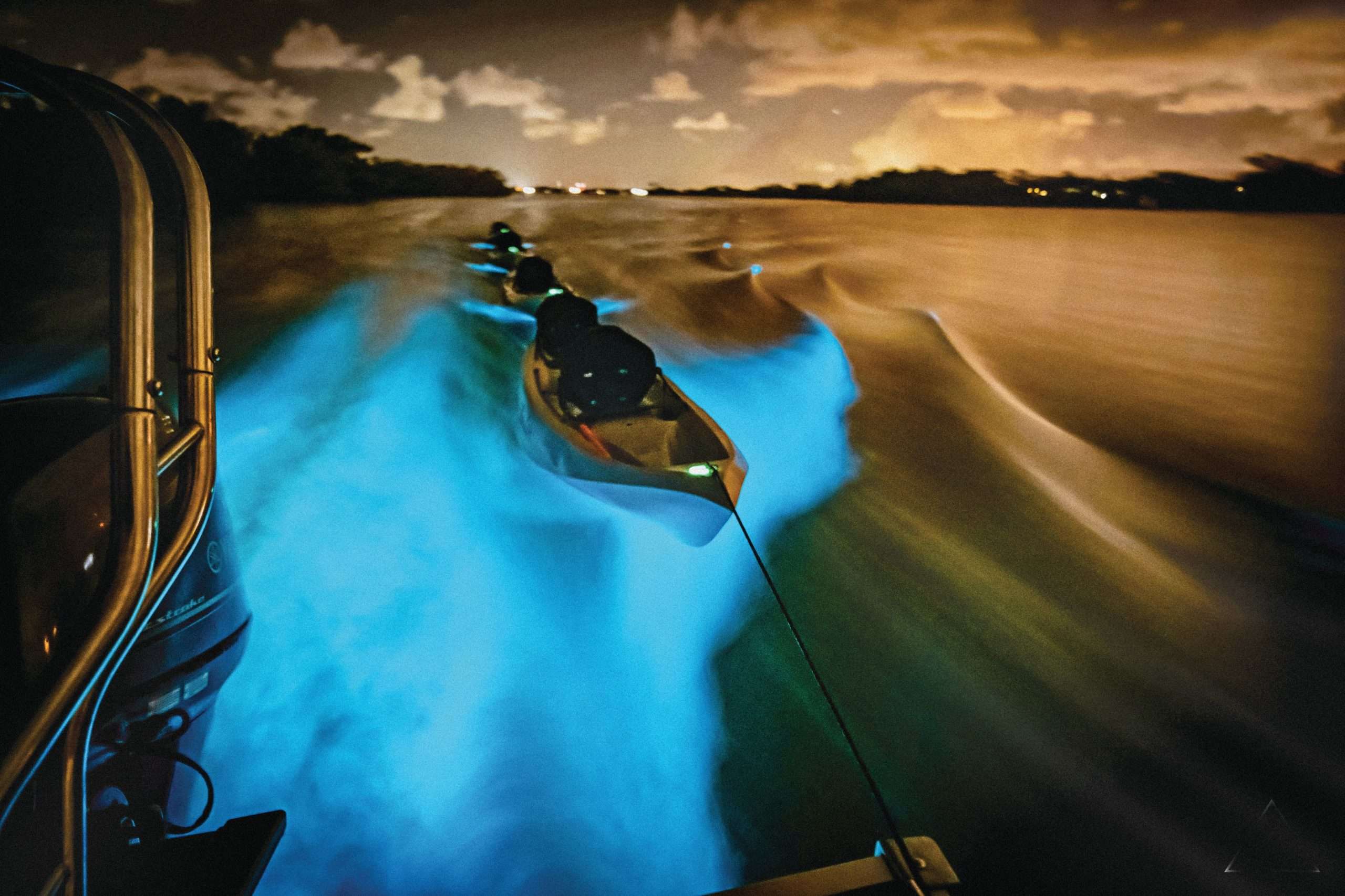 bioluminescent tours florida