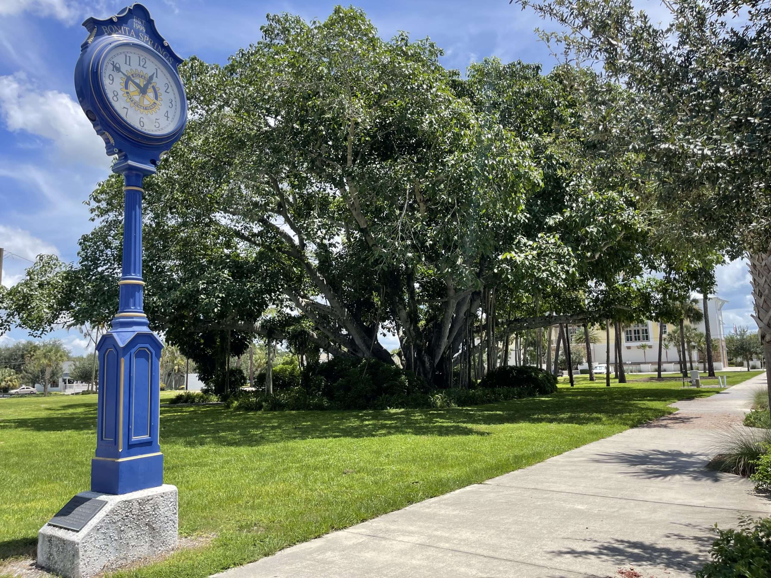 Bonita Springs Banyan Tree