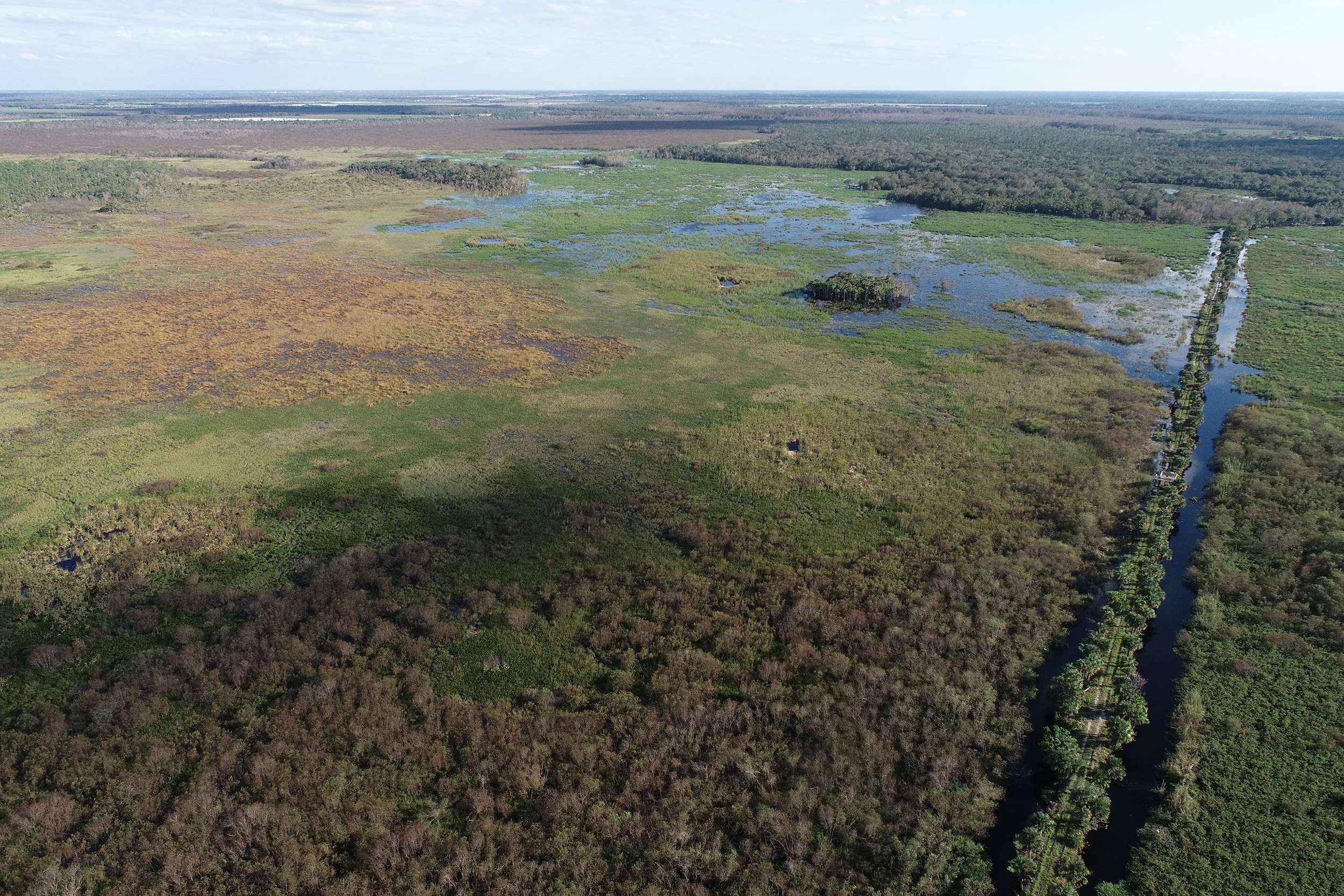 Corkscrew Swamp Sanctuary