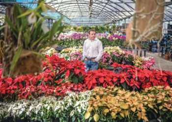 Driftwood Garden Center's Craig Hazelett