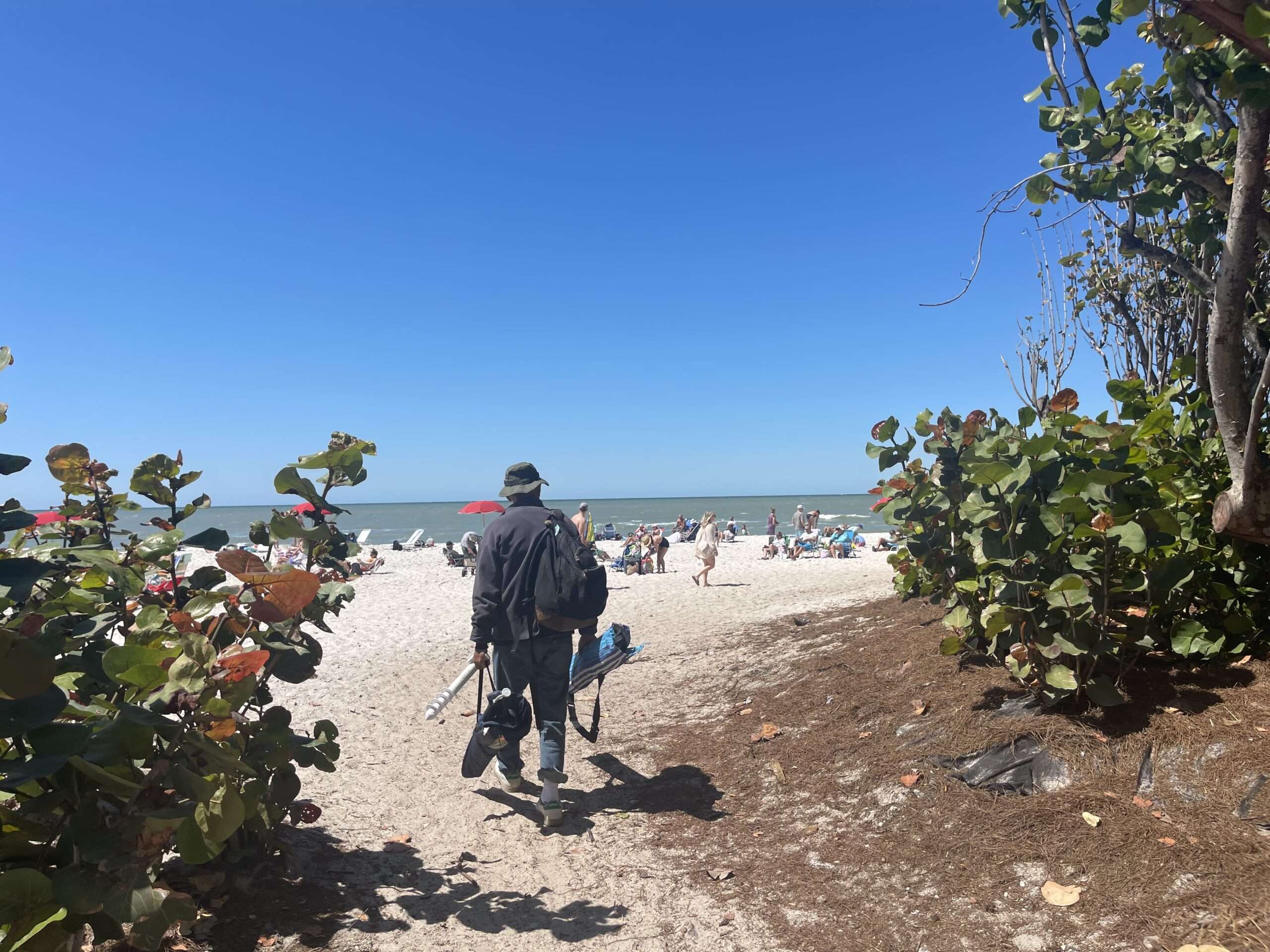 Beach Berm in Collier beaches