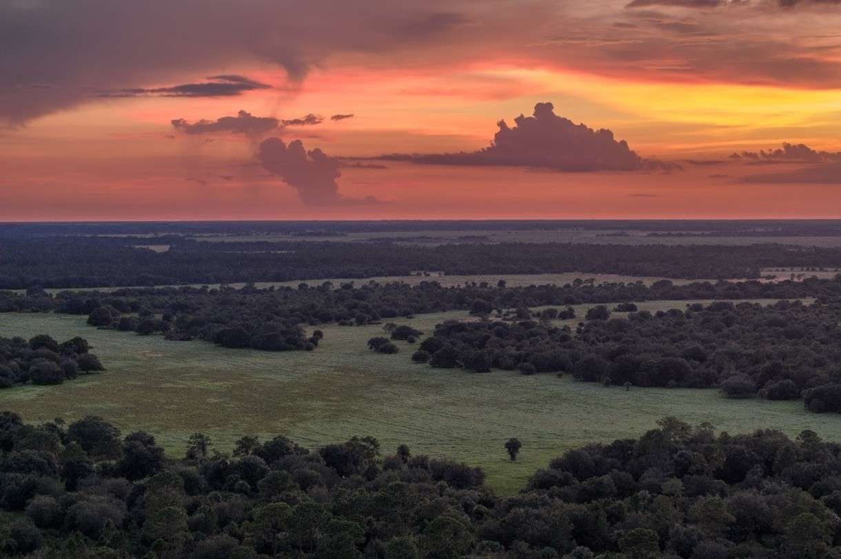 Florida spends millions on 17,000 acres to expand wildlife corridor