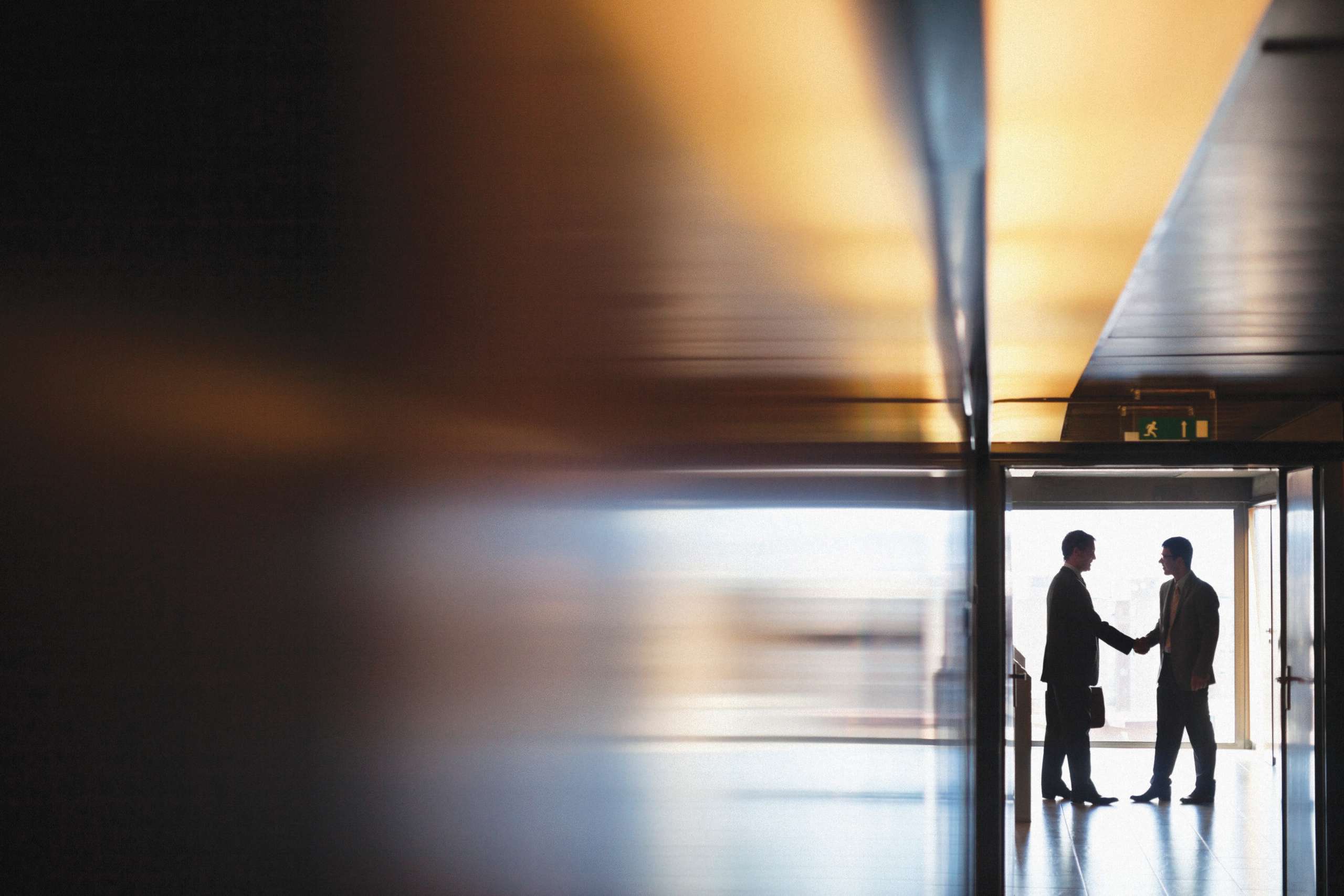 Experts provide advice on partnership and its perils