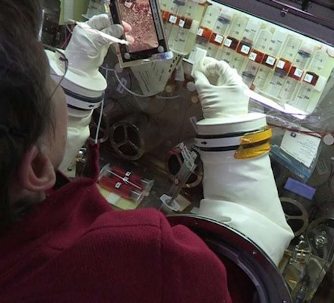 A Naples Soap Co. anti-aging skin care line launching next year will utilize NASA 3D biometric technology as part of an effort to lead the commercialization of space-age cellular science for personal care products. 