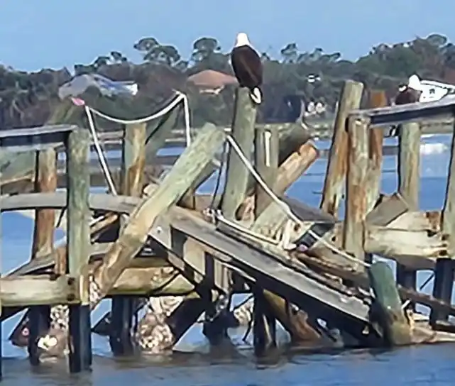 Punta Gorda Elks Lodge reduced to rubble after hurricanes Gulfshore