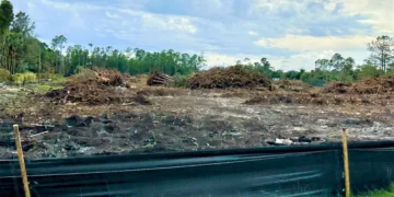 Land clearing on Immokalee Road for The Karlyn senionr living complex