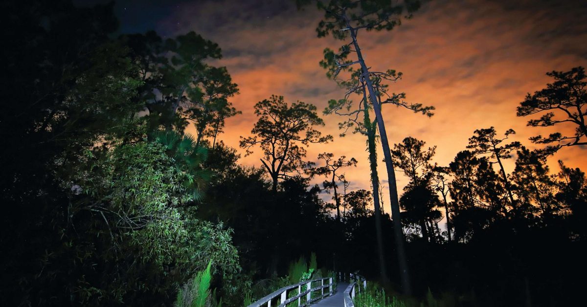 Corkscrew Sunset Walk_David Korte
