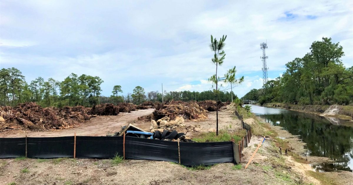 Commercial development at Immokalee Road