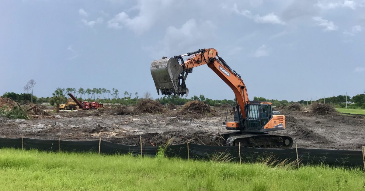 Las Palmas clearing 1