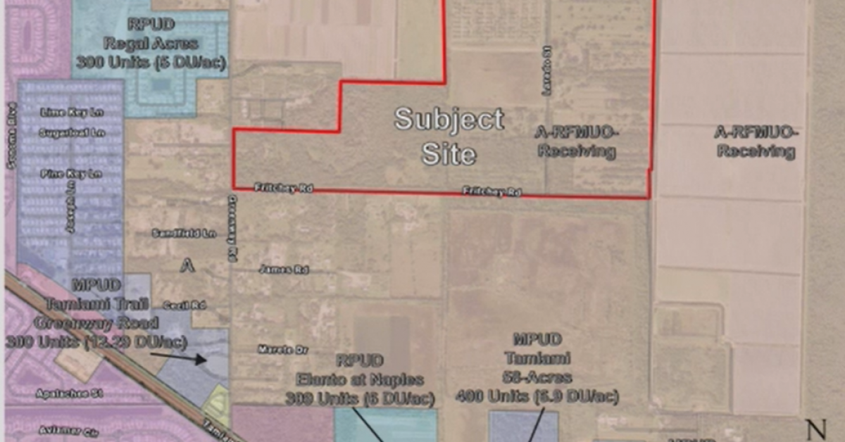 Site map with neighbor detail