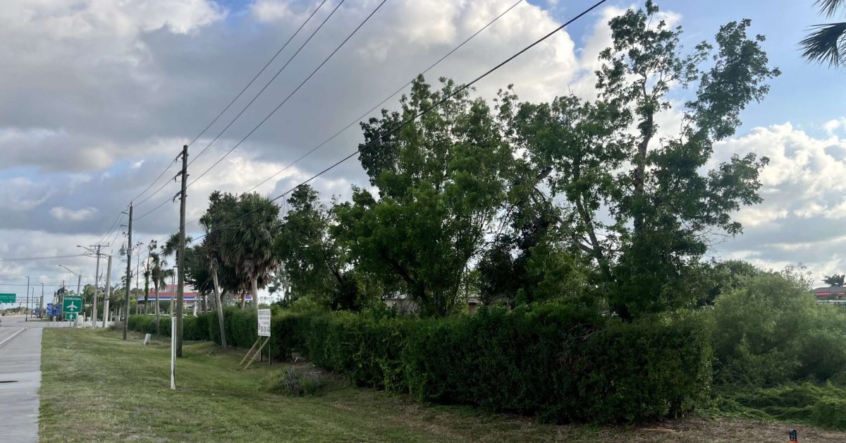The northwest corner of Treeline Avenue and Daniels Parkway