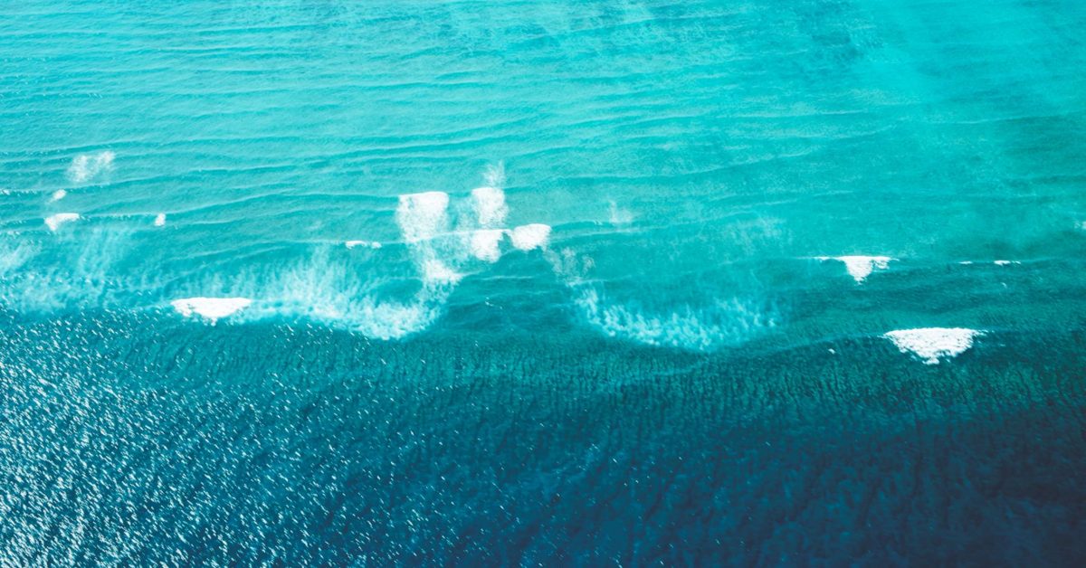 pexels-lachlan-ross-5967791